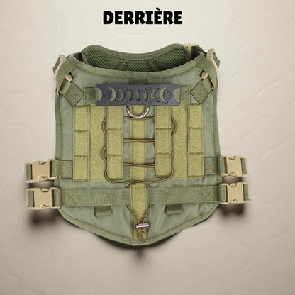 harnais tactique chien vert indispensable