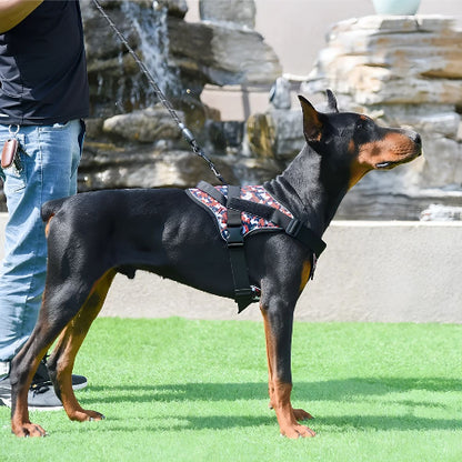 homme qui se promene avec son doberman qui porte le harnais anti traction pour chien Servidog confortable