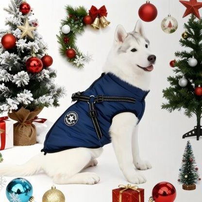 husky qui porte le harnais chien manteau d hiver bleu chaud