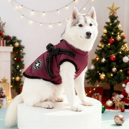 husky qui porte le harnais chien manteau d hiver violet chaud