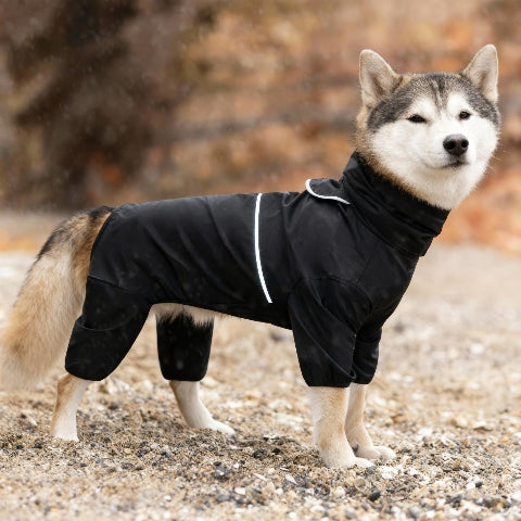 husky qui porte le manteau pour chien pawtectpro noir indispensable
