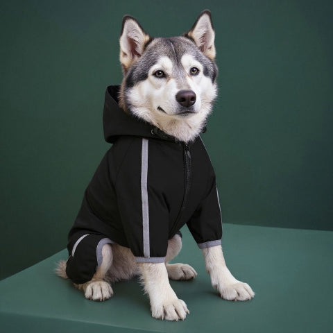 husky qui porte le manteau pour chien raincoat noir chic