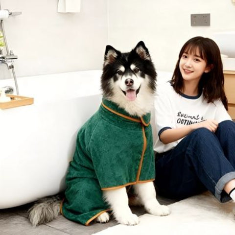 husky qui porte le peignoir pour chien vert apres le bain