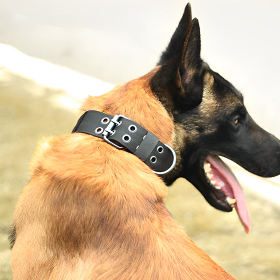 Collier pour chien tactique en nylon ajustable et durable - Fidoguard