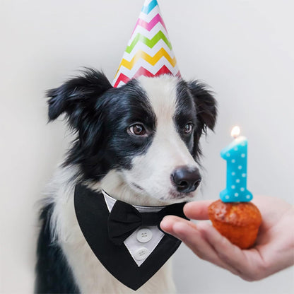 Bandana chien | Smoking Formel