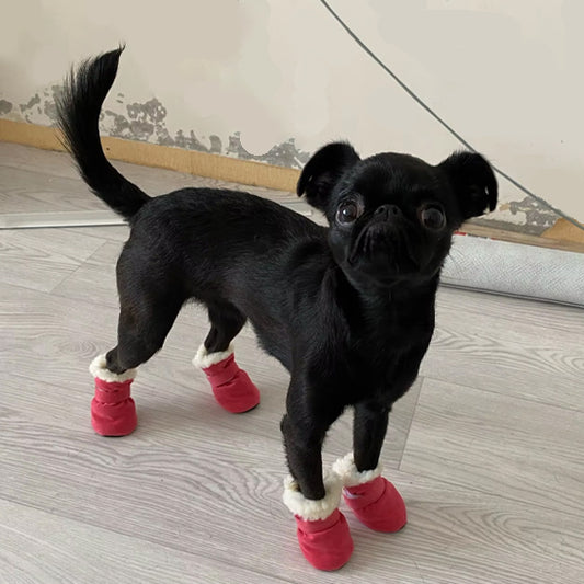 Chausson pour chien | Botte Mittens