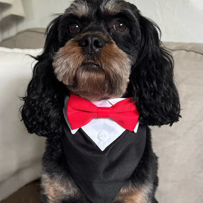 Bandana chien | Smoking Formel