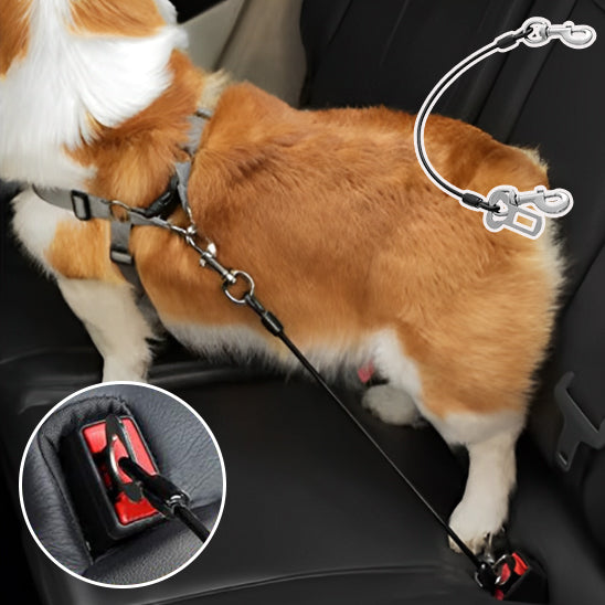 Laisse pour chien - Ceinture de voiture en Acier