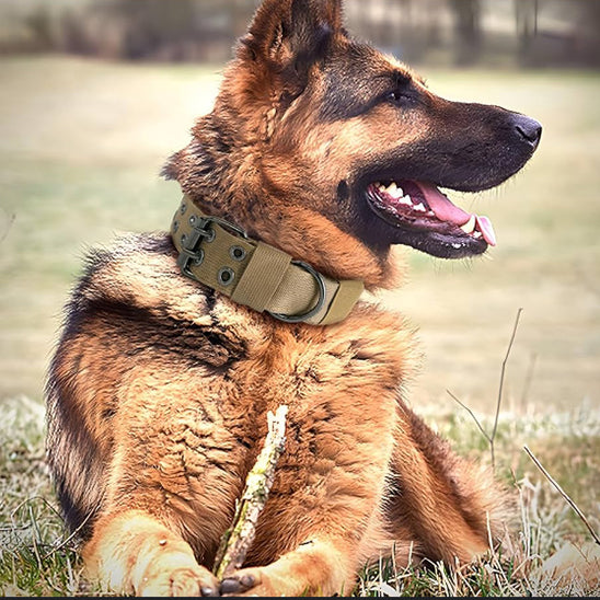 Collier pour chien tactique en nylon ajustable et durable - Fidoguard