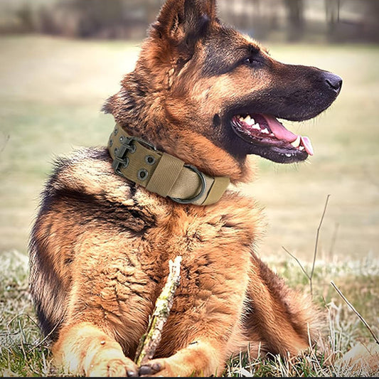 Collier pour chien tactique en nylon ajustable et durable - Fidoguard