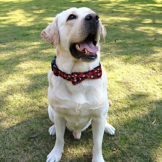 Collier pour chien - Noeud de papillon pour Noël