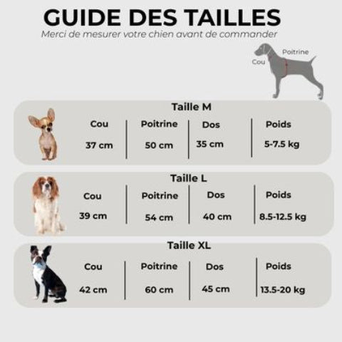 impermeable pour chien Guide des tailles