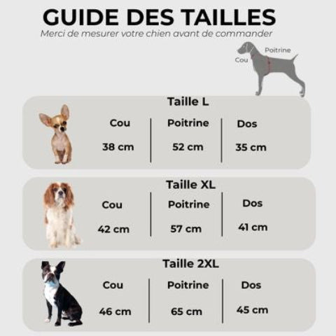 impermeable pour chien jaune Guide des tailles