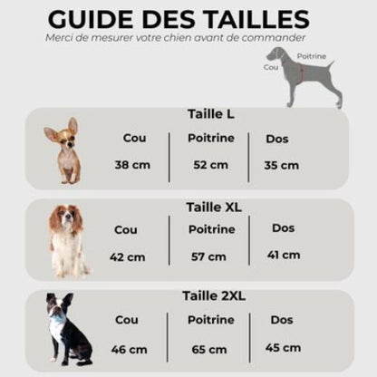impermeable pour chien jaune Guide des tailles