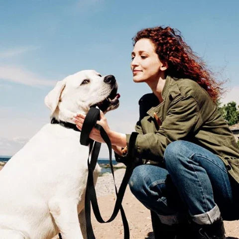 jeune fille qui joue avec son labrador qui porte la laisse pour chien longecanine