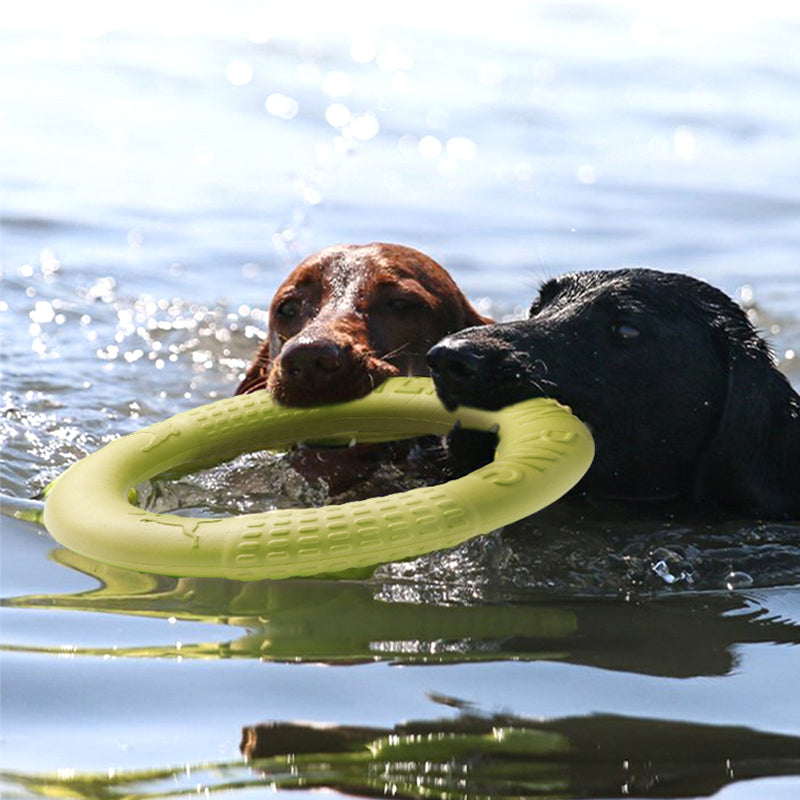 Jouet indestructible pour chien - Anneau de dressage