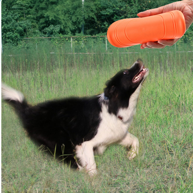 Jouet pour chien - Disque Frisbee