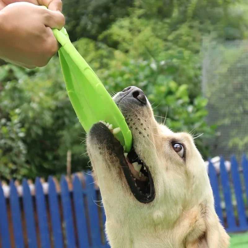 Jouet pour chien - Disque Frisbee