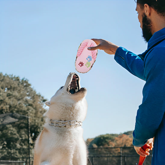 Jouet pour chien - Tong léopard