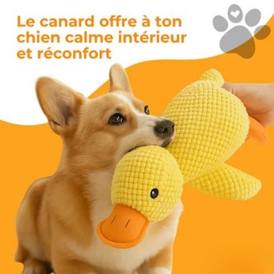 Jouet pour chien | Canard Couineur 3-en-1