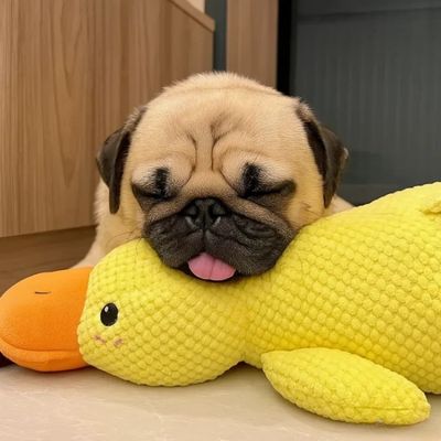 Jouet pour chien | Canard Couineur 3-en-1