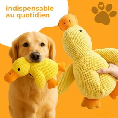 Jouet pour chien | Canard Couineur 3-en-1