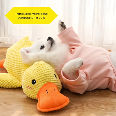 Jouet pour chien | Canard Couineur 3-en-1