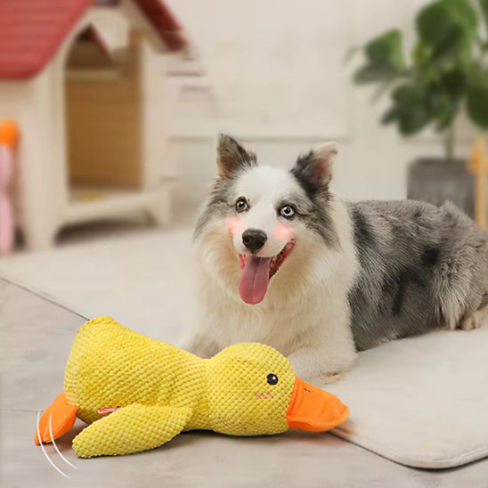 Jouet pour chien canard en peluche - Quacky Fun