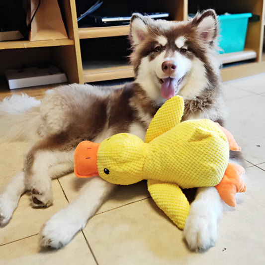 Jouet pour chien canard en peluche - Quacky Fun