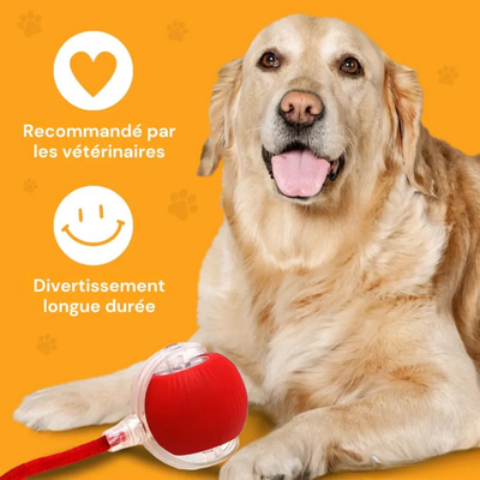 jouet pour chien interactif durable