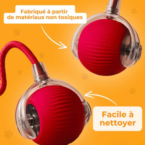 jouet pour chien interactif essentiel