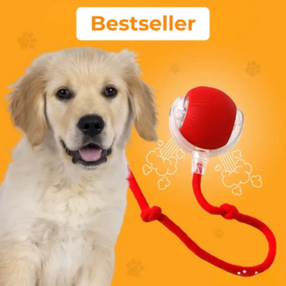jouet pour chien interactif indispensable