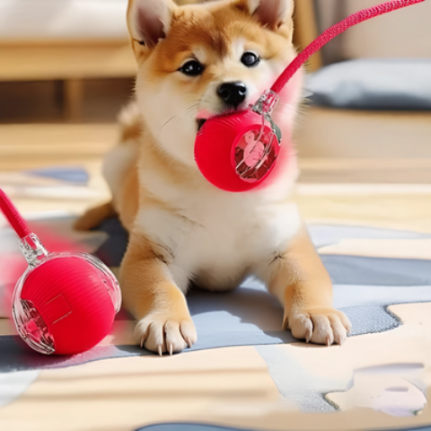 jouet pour chien interactif rouge efficace
