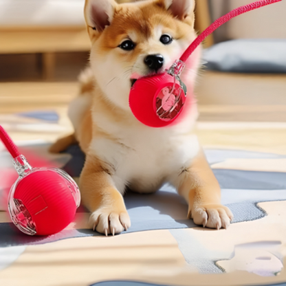 jouet pour chien interactif rouge efficace