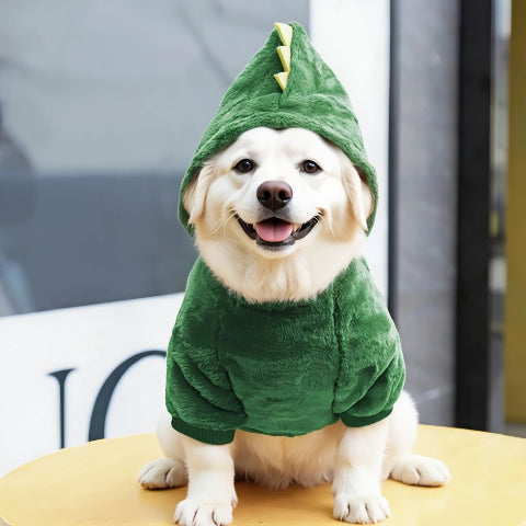 labrador qui porte deguisement chien vert qui attire les regards