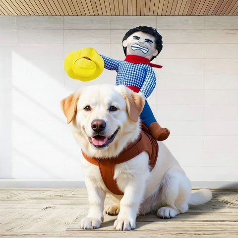 labrador qui porte le deguisement chien cowboy d'halloween indispensable