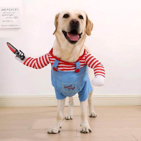 labrador qui porte le deguisement chien festive