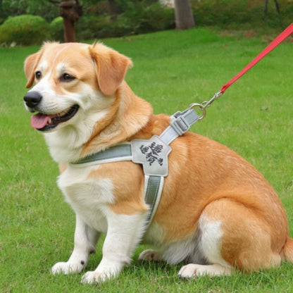 labrador qui porte le harnais anti  traction chien sangle de poitrine gris chic