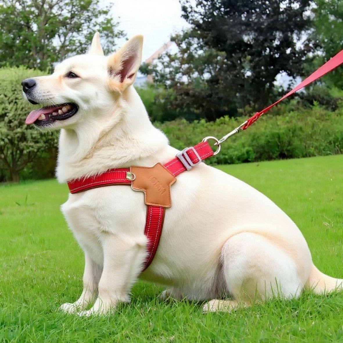 HARNAIS ANTI TRACTION CHIEN | SANGLE DE POITRINE