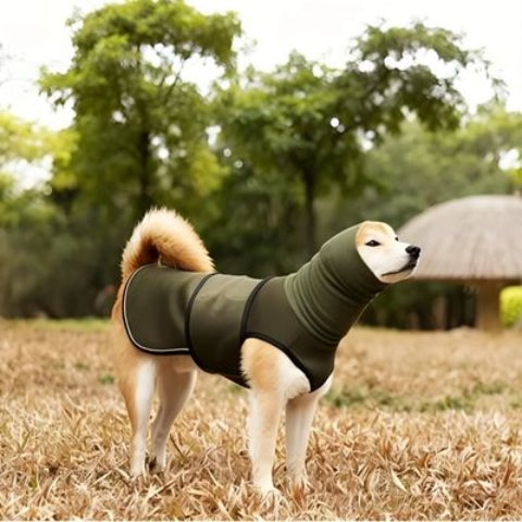 labrador qui porte le manteau pour chien gilet vert indispensable