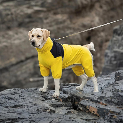 labrador qui porte le manteau pour chien pawtectpro jaune essentiel