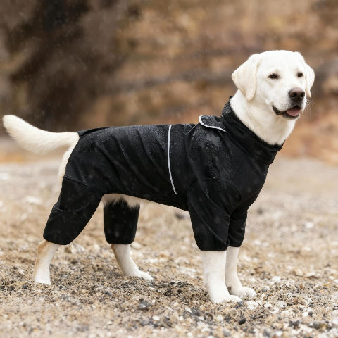 labrador qui porte le manteau pour chien pawtectpro noir robuste