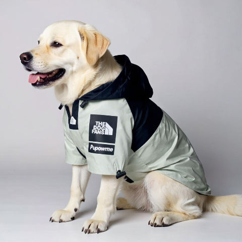 labrador qui porte le manteau pour chien the dog face gris