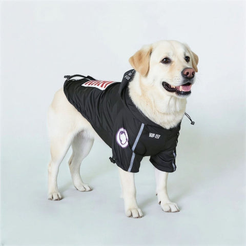 labrador qui porte le manteau pour chien the dog face noir indispensable