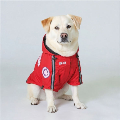 labrador qui porte le manteau pour chien the dog face rouge chic