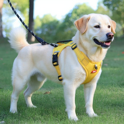 labrador qui porte porte le harnais chien laisse anti traction jaune essentiel