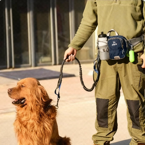laisse canicross bleue marine jolie
