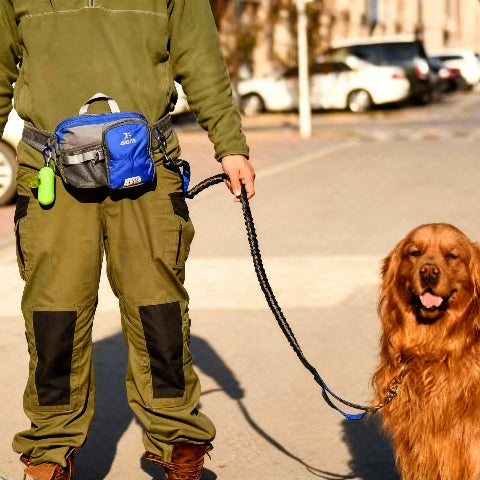 laisse canicross bleue