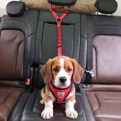 LAISSE CHIEN | CEINTURE 2 EN 1 - Les chiens beaux