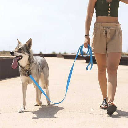 LAISSE POUR CHIEN | LONGECANINE™